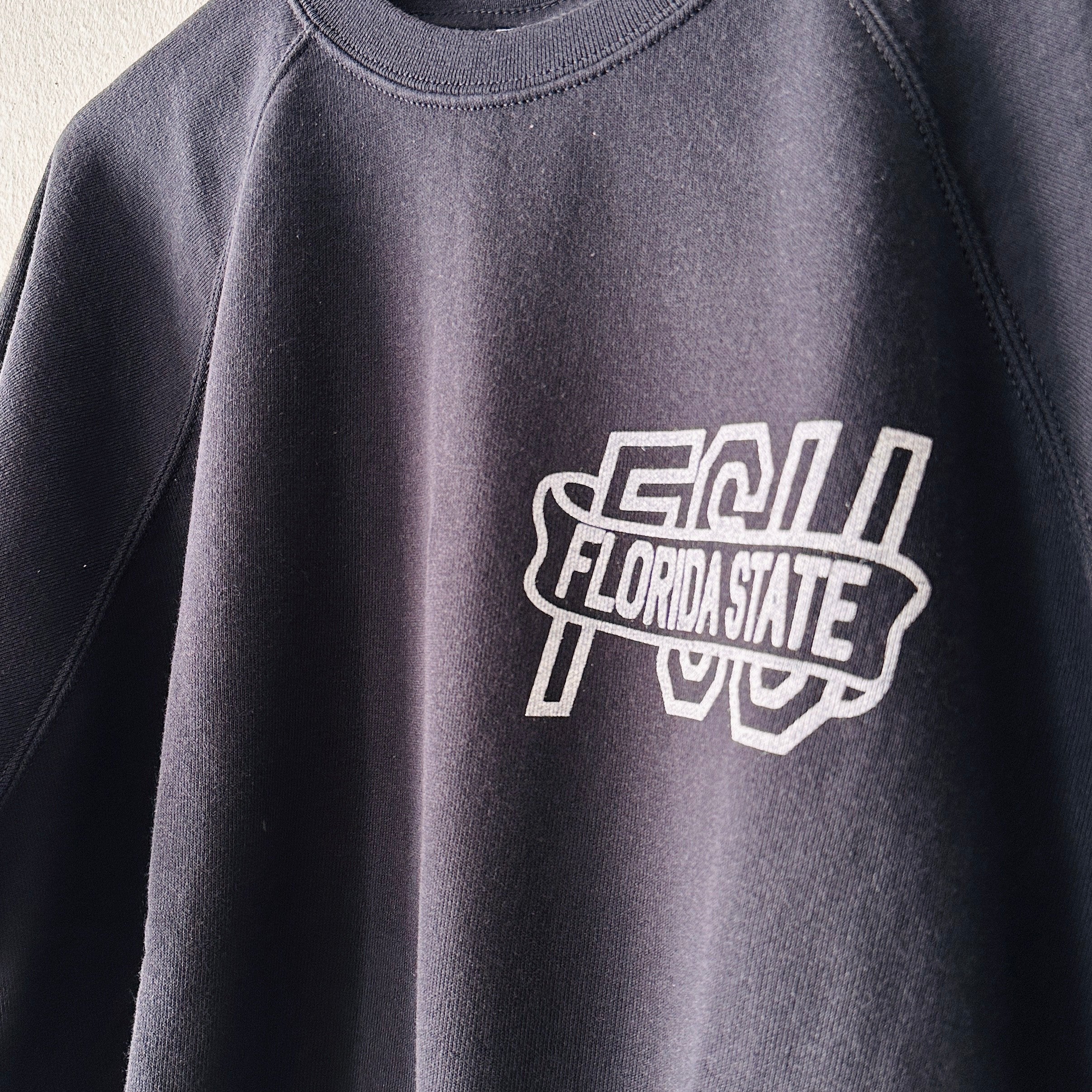 Wild Donkey | Sweatshirt | FSU