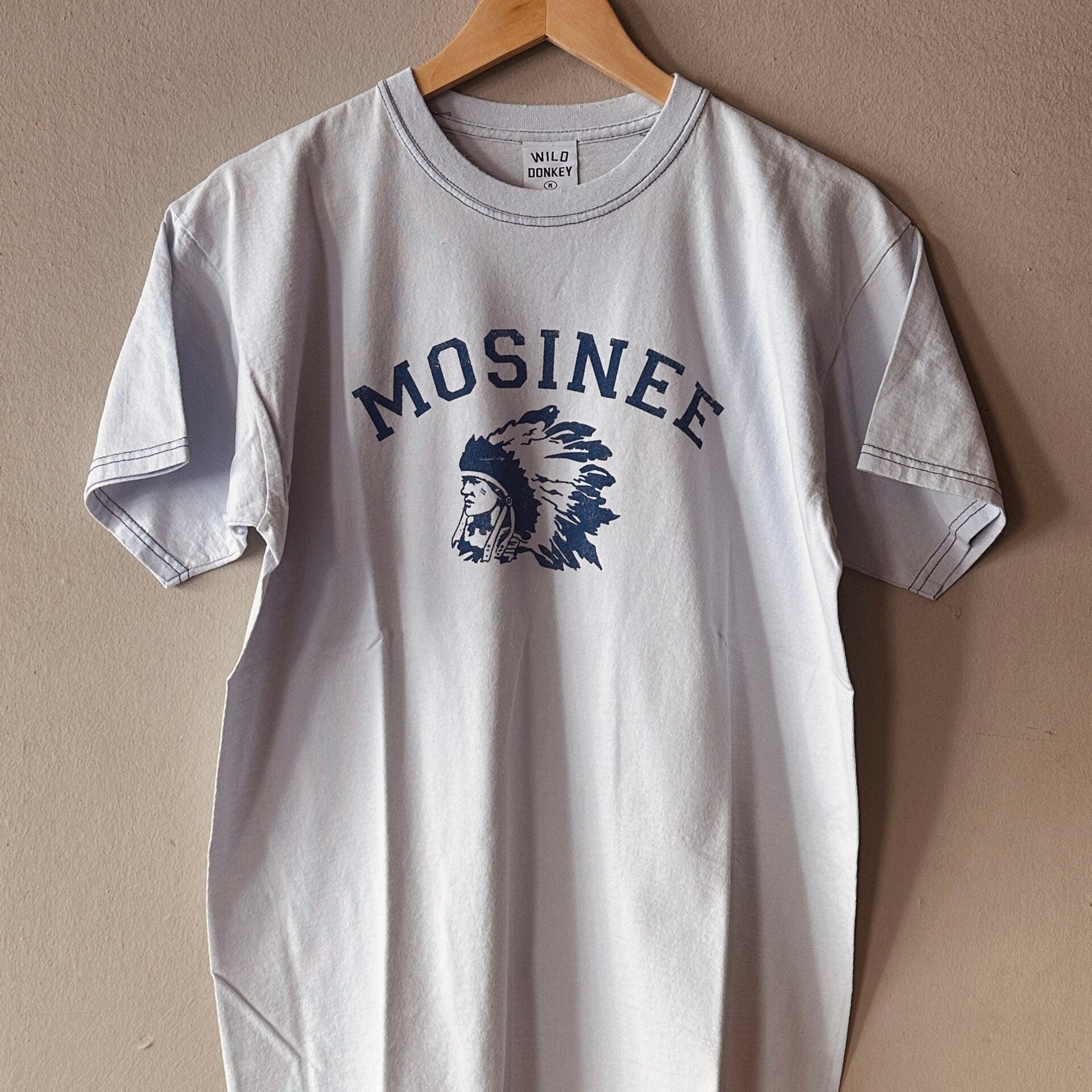 Wild Donkey | T-Mosinee